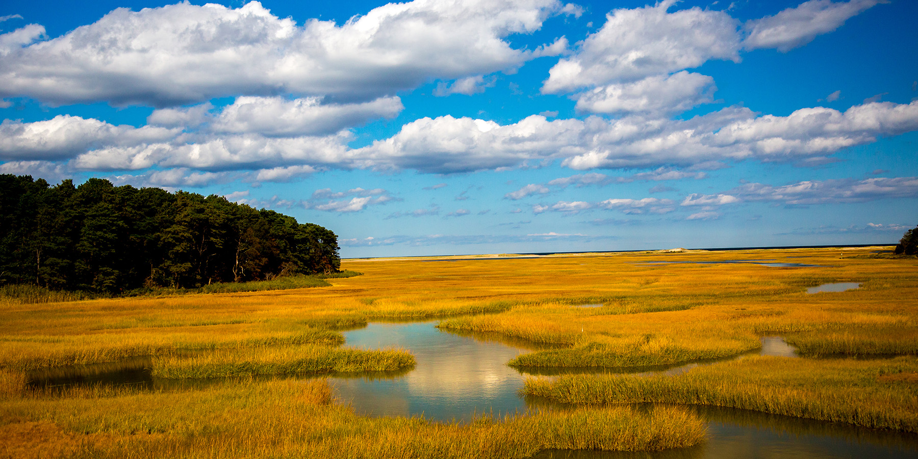 Salt marsh Cape Cod Bay Shutterstock