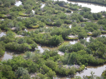 Photo from Volusia County Mosquito Control helicopter