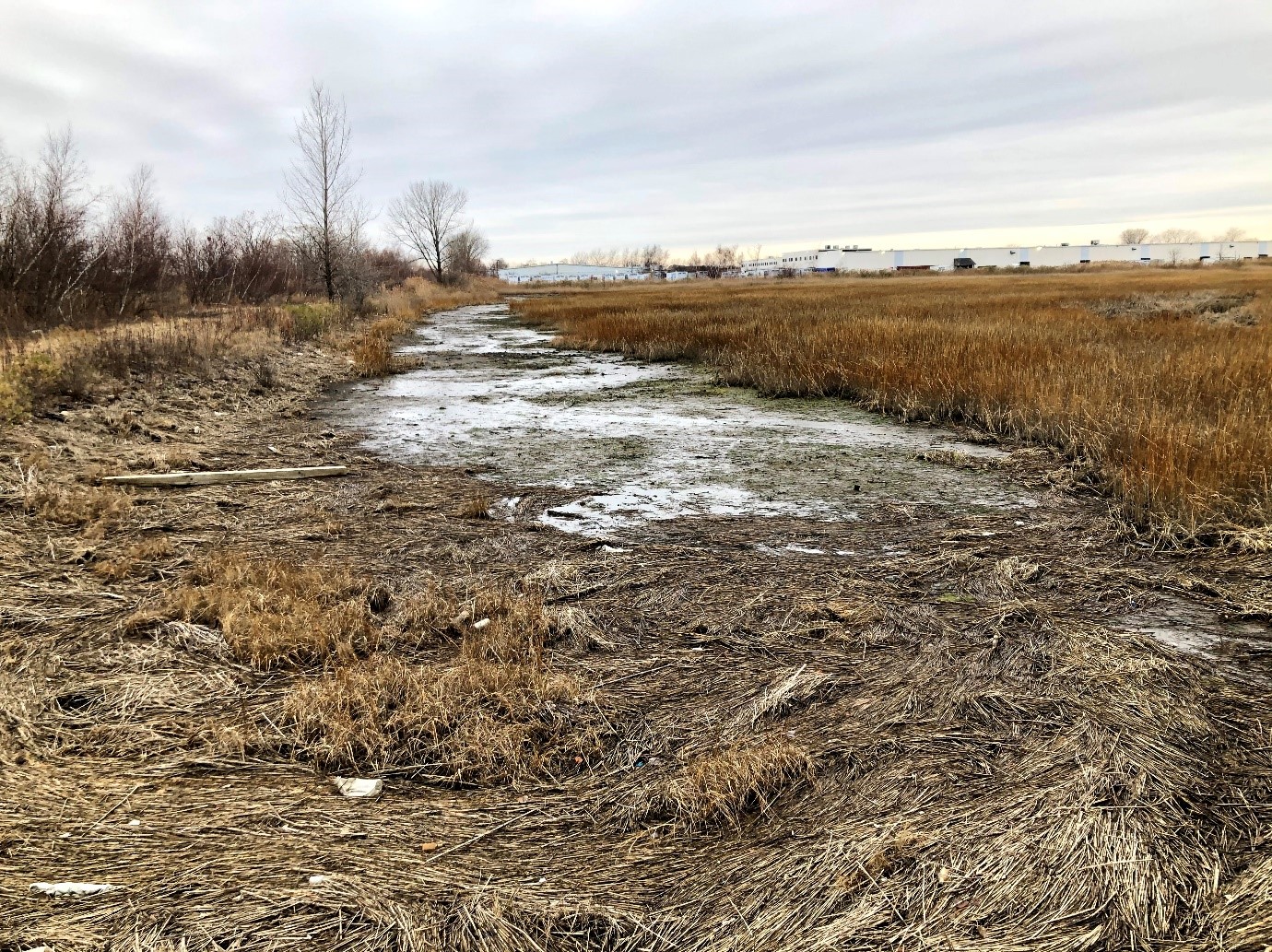 Ecological Restoration Of 39 Salt Marsh Acres At Great Meadows Marsh ...